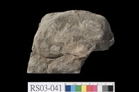 藏品(頁岩)的圖片